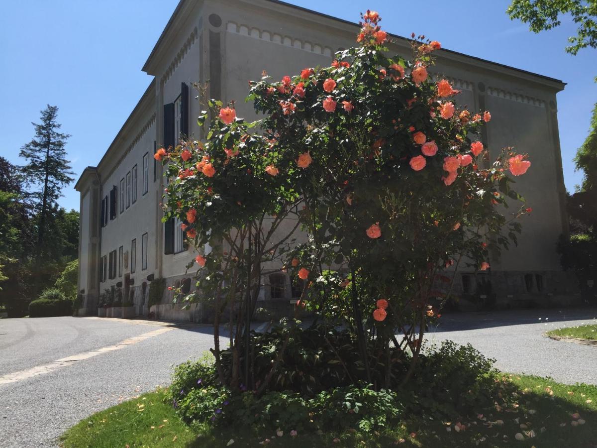 White Flat By Grazrentals With Cool Location & Free Parking Bagian luar foto